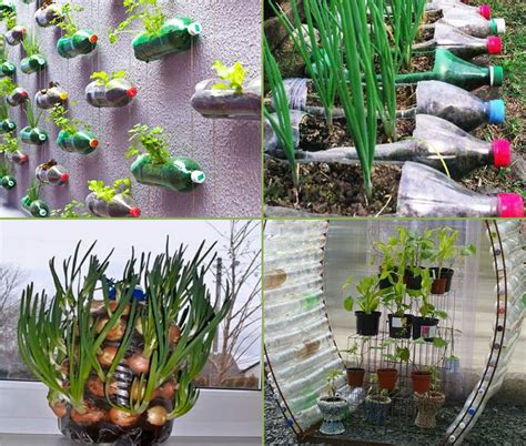 9 DIY Plastic Bottle Garden Projects - Naturebring