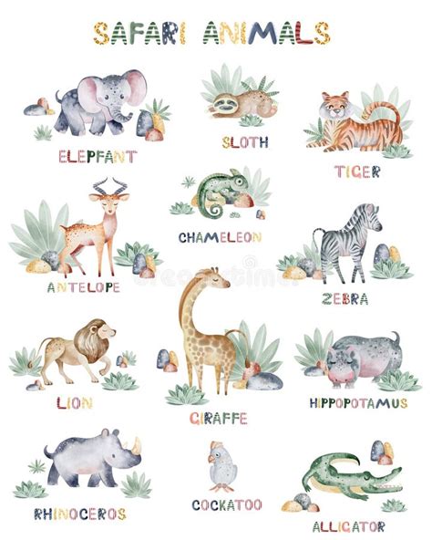 Safari Animals Names