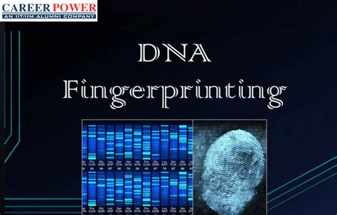 DNA Fingerprinting: Steps and Applications