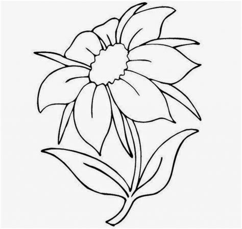 Drawing Of Different Types Of Flowers at GetDrawings | Free download