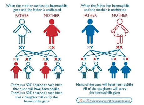 About - Haemophilia