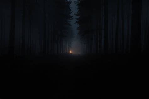 Top 999+ Dark Forest Wallpaper Full HD, 4K Free to Use