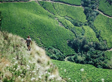 Trekking Phantom Hill In Munnar, India