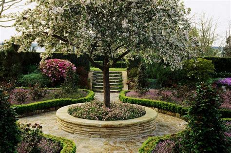 Trees for Patios and Small-Space Gardens