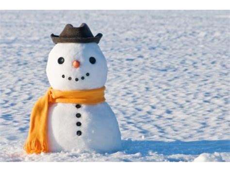 Farmers' Almanac: Snowy And Bitter Cold Winter Ahead In Pa. - Newtown ...