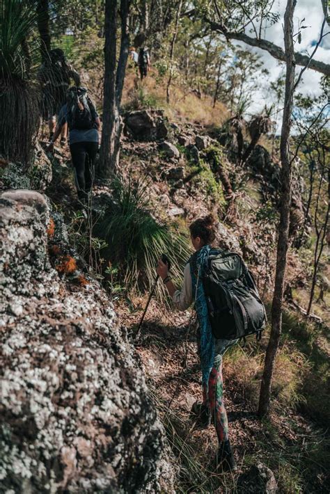 Hiking the Scenic Rim Trail in Queensland, Australia | Drink Tea & Travel