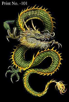 Eastern Dragon Anatomy and Physiology - Dragonsinn.net