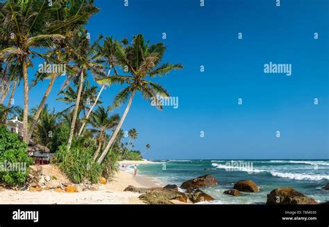 Sri Lanka, Southern province, Matara, Madiha beach Stock Photo - Alamy