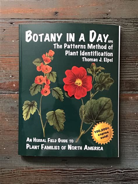 Botany in a Day: The Patterns Method of Plant Identification – Rosalie ...