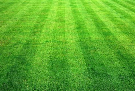 Artificial Grass Green Football Turf, Size: 2 X 25 Meter, Rs 50 /square ...