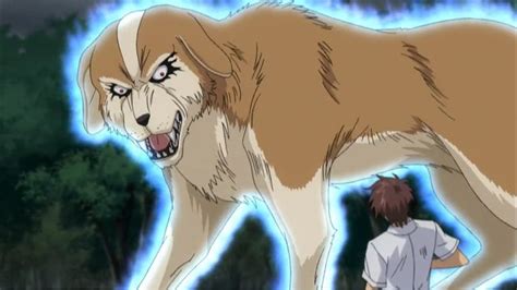 Today’s anime dog of the day is: Demon Dog from...