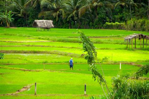 15 Most beautiful landscapes in Sri Lanka worth witnessing | Travel Me Sri Lanka