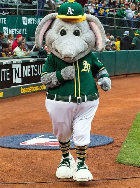 Ranking the MLB Mascots | Mascot, Major league baseball teams, Mlb