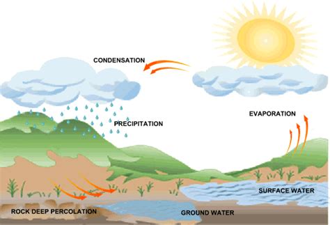 facts about the water cycle Archives - Easy Science For Kids