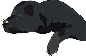 Sleeping Wolf Pup by NightFuryDragon28 on DeviantArt