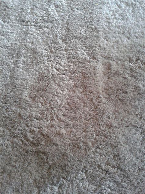 Soft carpet stock image. Image of carpet, pattern, material - 45512367