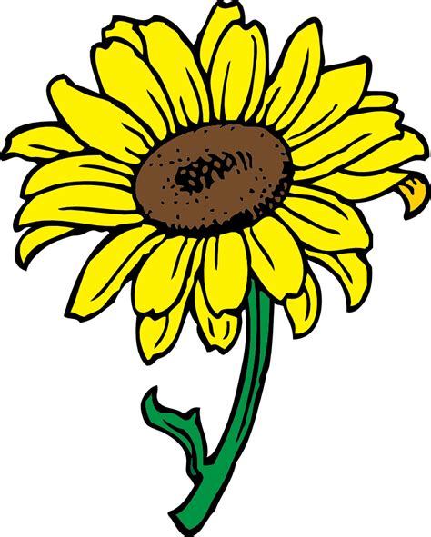 sunflower. Flag this Clip Art | Clipart Panda - Free Clipart Images