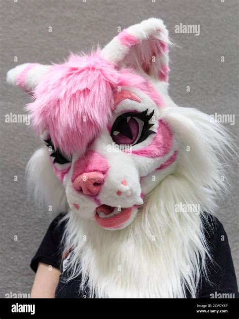 Fursuiter, cosplayer in furry fursuit at MCM Comicon London, UK Stock Photo - Alamy