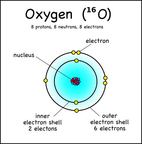 an image of the structure of an oxygen ring with labels labeled in english and french