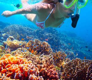 Snorkeling the Exumas Bahamas