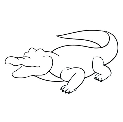 How to Draw an Easy Alligator Step by Step - Viera Postencell