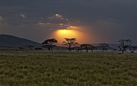 Sunset Africa Savanna Landscapes - [1920 x 1200]