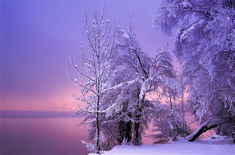 Winter Wonderland: 18 Breathtaking Winter Photography - Design Swan