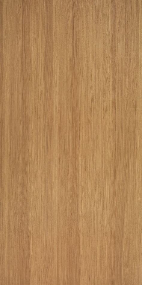 Oak Wood Texture