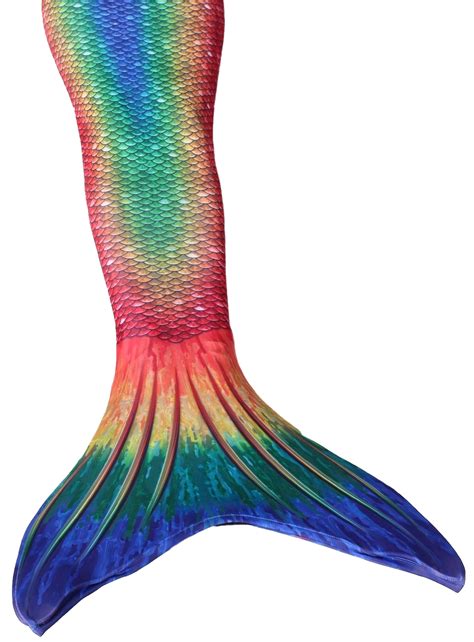 Mermaid Tail PNG - PNG All