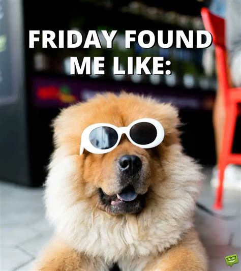 funny-Friday-quote-with-dog