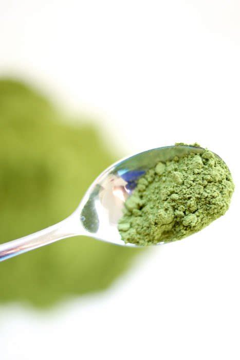 How to Make Green Superfood Powder for Smoothies - Joyful Abode