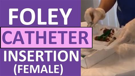 Foley Catheter Insertion Diagram