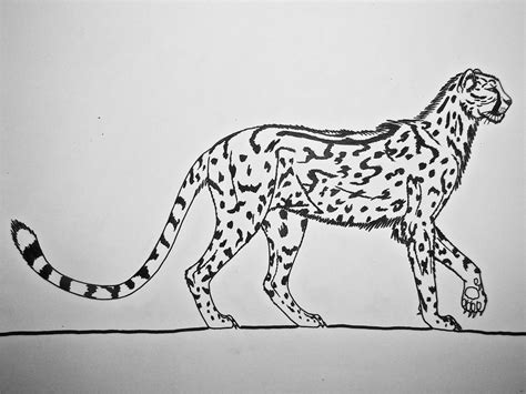 Acinonyx pardinensis- The Giant Cheetah by Saberrex on DeviantArt