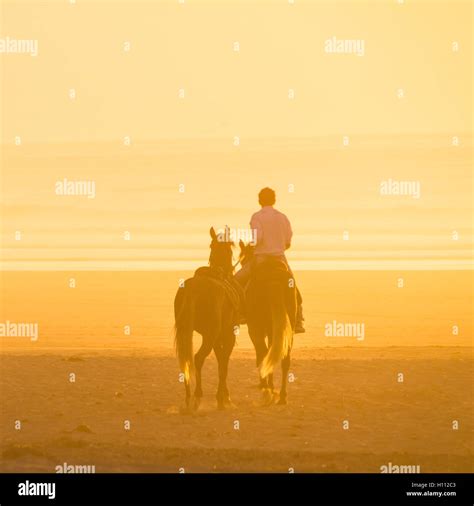 Horse riding on the beach at sunset Stock Photo - Alamy