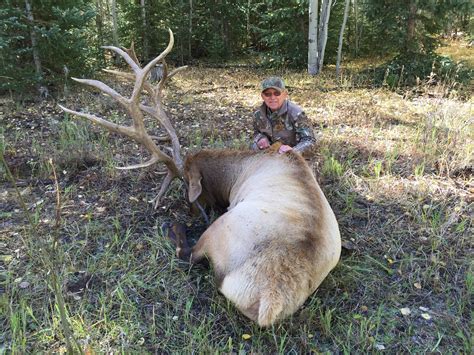 COLORADO TROPHY ELK HUNTS AT BULL BASIN RANCH COLORADO TROPHY BULL ELK ...