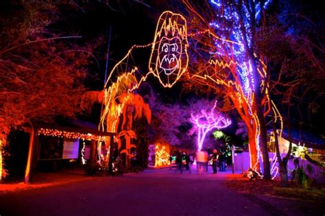 ZooLights at the Phoenix Zoo