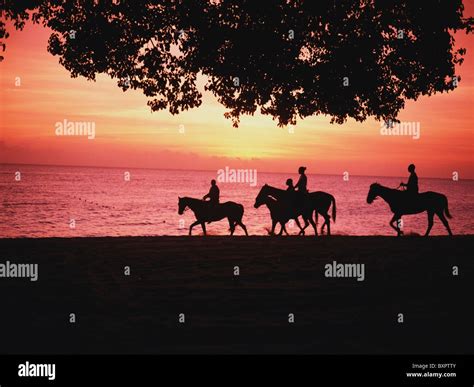 Riding Horses On The Beach At Sunset Stock Photo - Alamy