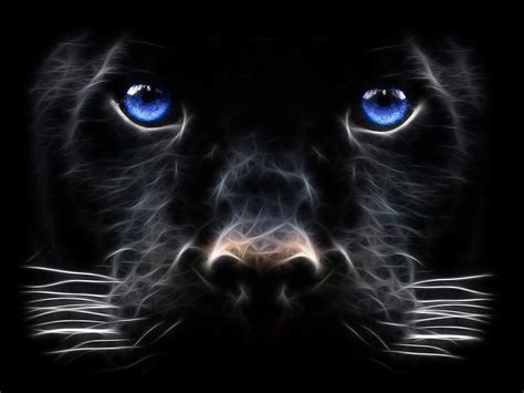 🔥 [50+] Black Panther Blue Eyes Wallpapers | WallpaperSafari