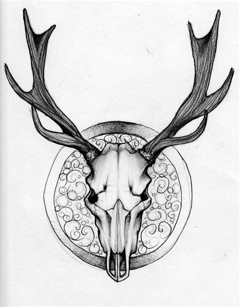 Elk Antlers Drawing at GetDrawings | Free download