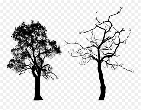 Bare Tree Silhouette Png Download - Tree Silhouette Free Clipart (#5613313) - PinClipart