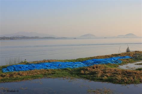 Chilika Lake, Odisha - Travel Tales from India and Abroad