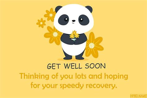 Funny Get Well Soon Card With Lovely Panda