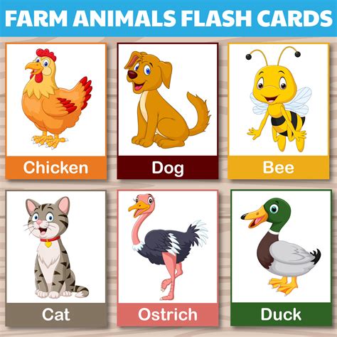 24 Farm Animals Cards, Montessori flashcards, Cute Farm Animals Flashcards, Farm Animals ...