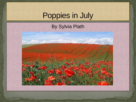 'Poppies in July' by Sylvia Plath | Teaching Resources