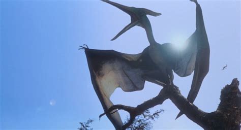 Pteranodon (The Lost World, Jurassic Park 3, Jurassic World)