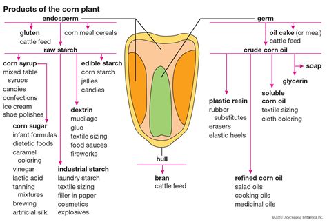 Corn syrup | Ingredients, Preparation, & Uses | Britannica