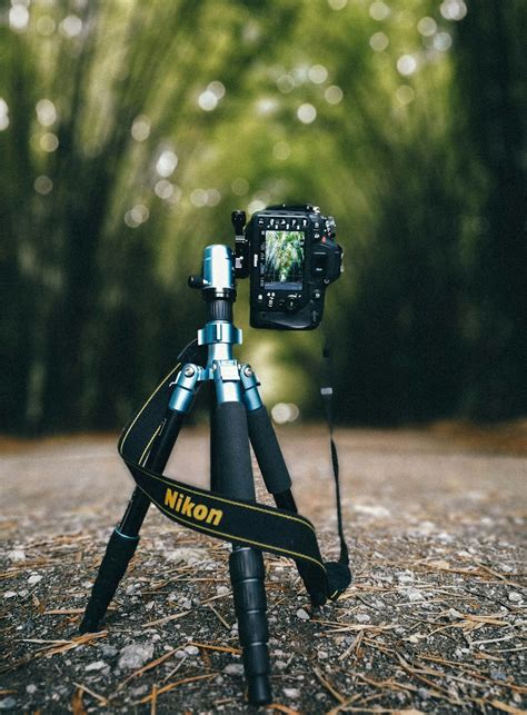 Camera On Tripod Pictures | Download Free Images on Unsplash