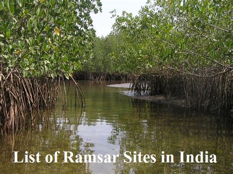 List of all Ramsar Sites in India