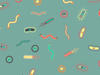 Microbes! | Science art drawings, Motion design animation, Medical ...