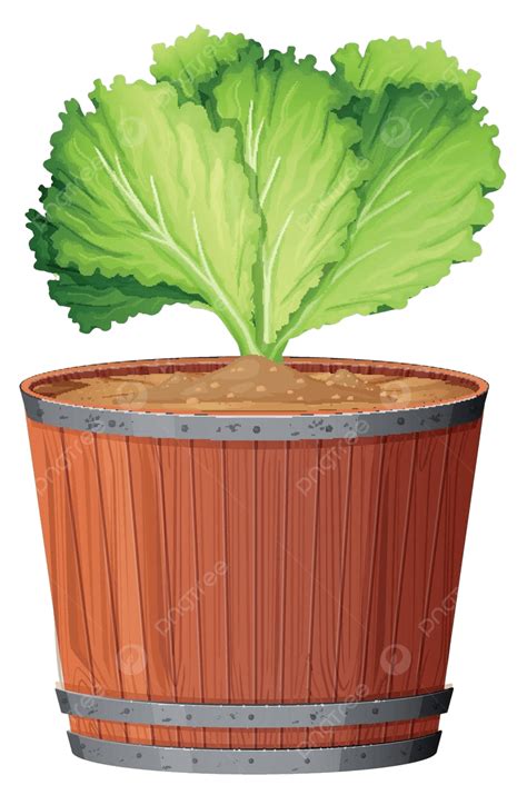 Pot Plant With Green Leaves On An Isolated White Background Vector ...